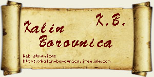 Kalin Borovnica vizit kartica